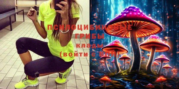 амф Верхний Тагил