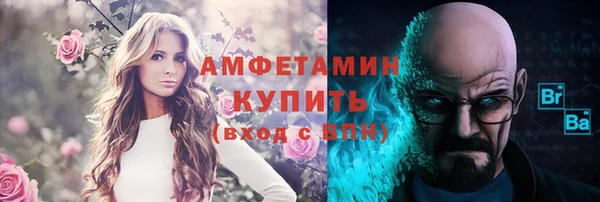 индика Володарск