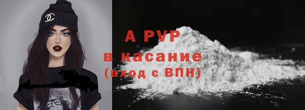 амф Верхний Тагил