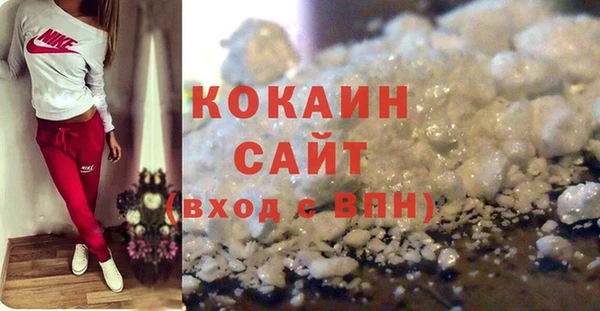 амф Верхний Тагил
