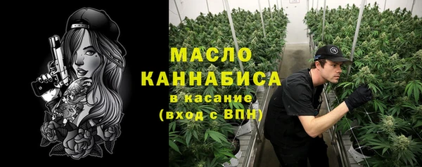 амф Верхний Тагил