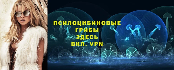 гидра Верея