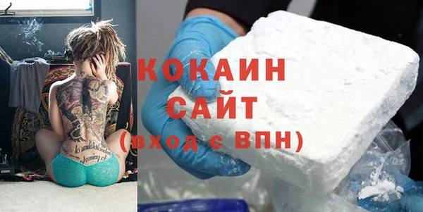 амф Верхний Тагил