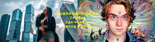 амф Верхний Тагил