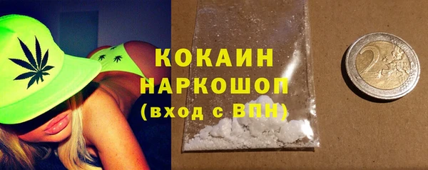 амф Верхний Тагил