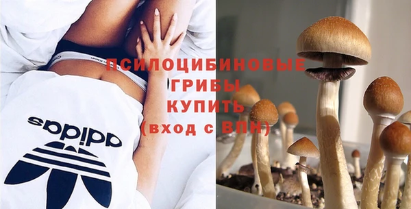 МДПВ Волоколамск