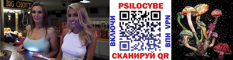 Галлюциногенные грибы ЛСД  цены наркотик  Каменногорск 