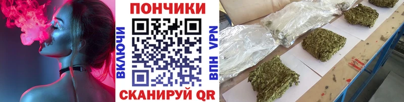 Конопля семена  OMG зеркало  Каменногорск 